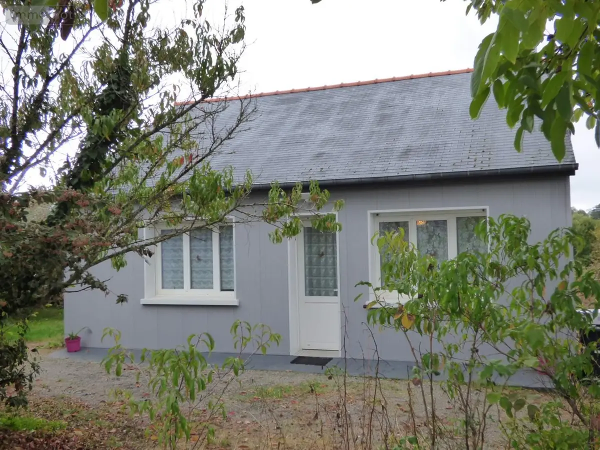 Maison a vendre Sainte-Anne-sur-Vilaine 35390 Ille-et-Vilaine 35 56 m2 2 pièces 101000 euros 136/5300 001