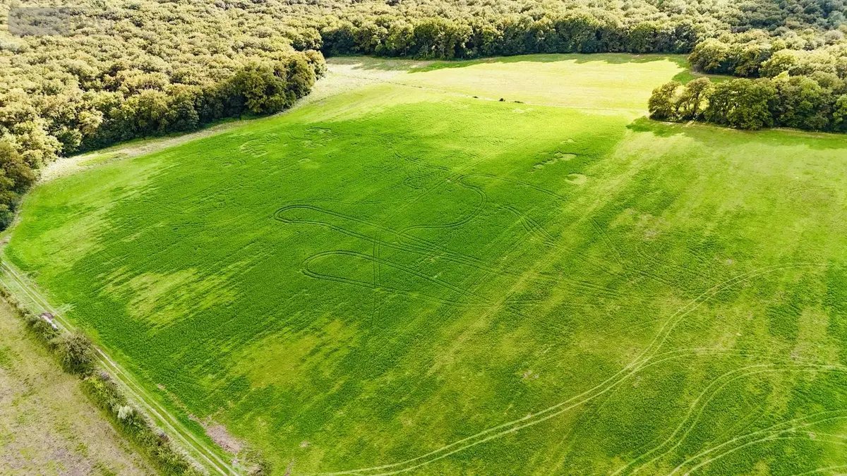 Terrains de loisirs bois etangs a vendre Coteaux-sur-Loire 37130 Indre-et-Loire 37 445050 euros 004/3667 001