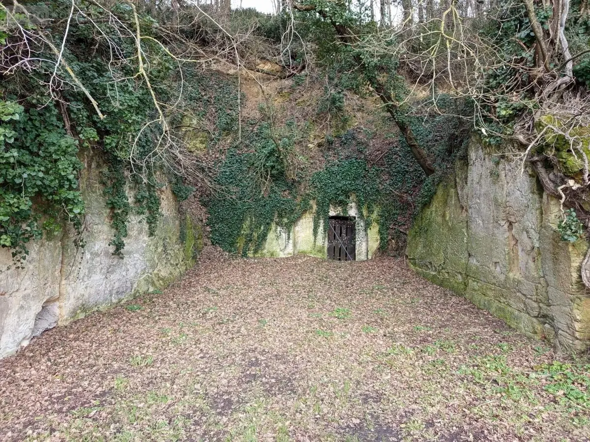 Divers a vendre Dierre 37150 Indre-et-Loire 37 50 m2 17000 euros 021/1DV001 001