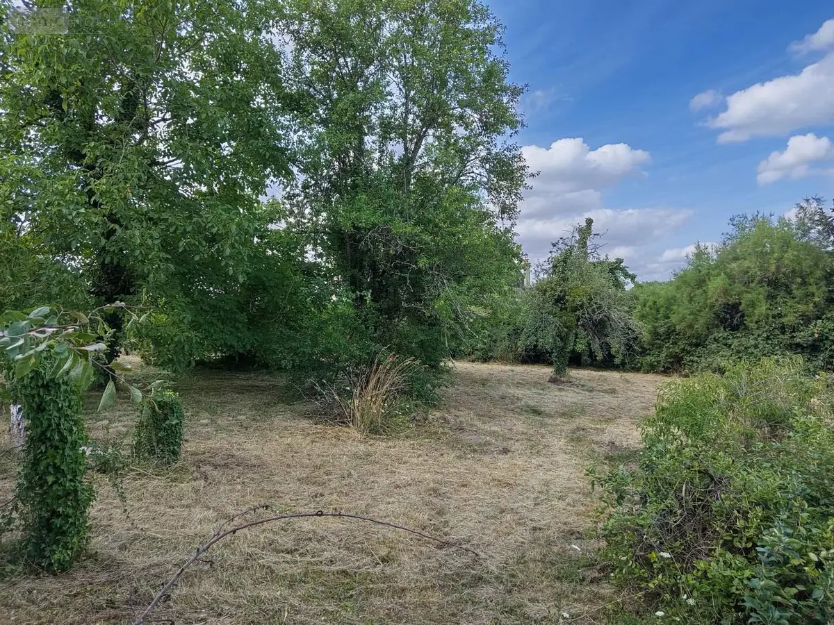 Terrain a batir a vendre La Croix-en-Touraine 37150 Indre-et-Loire 37 300 m2 74200 euros 021/TB0211 001