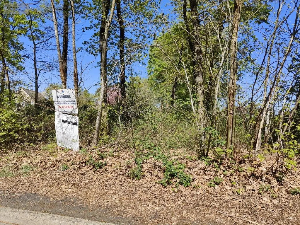 Terrain a batir a vendre Luzillé 37150 Indre-et-Loire 37 291 m2 36600 euros 021/TB0215 001