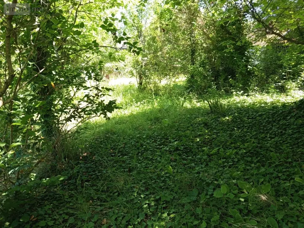 Terrain a batir a vendre Bléré 37150 Indre-et-Loire 37 325 m2 63600 euros 021/TB0222 001