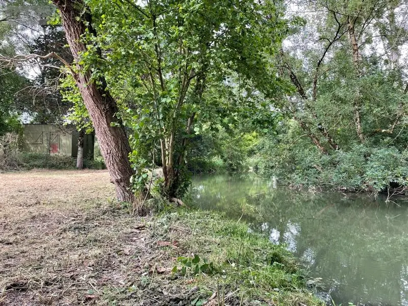 Terrains de loisirs bois etangs a vendre Azay-sur-Indre 37310 Indre-et-Loire 37 19500 euros 021/DV003 001