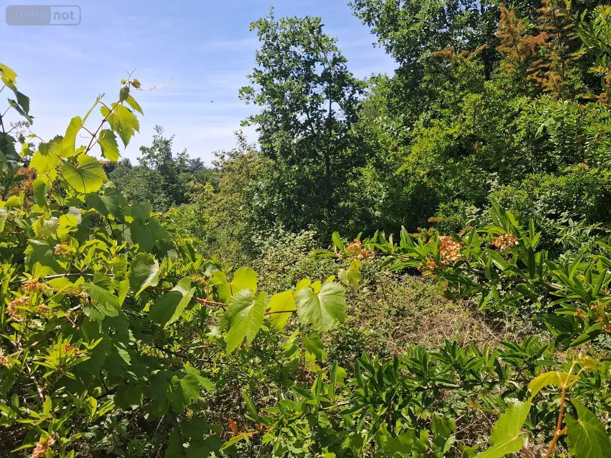 Terrain a batir a vendre Chenonceaux 37150 Indre-et-Loire 37 1181 m2 47700 euros 022/1184 001