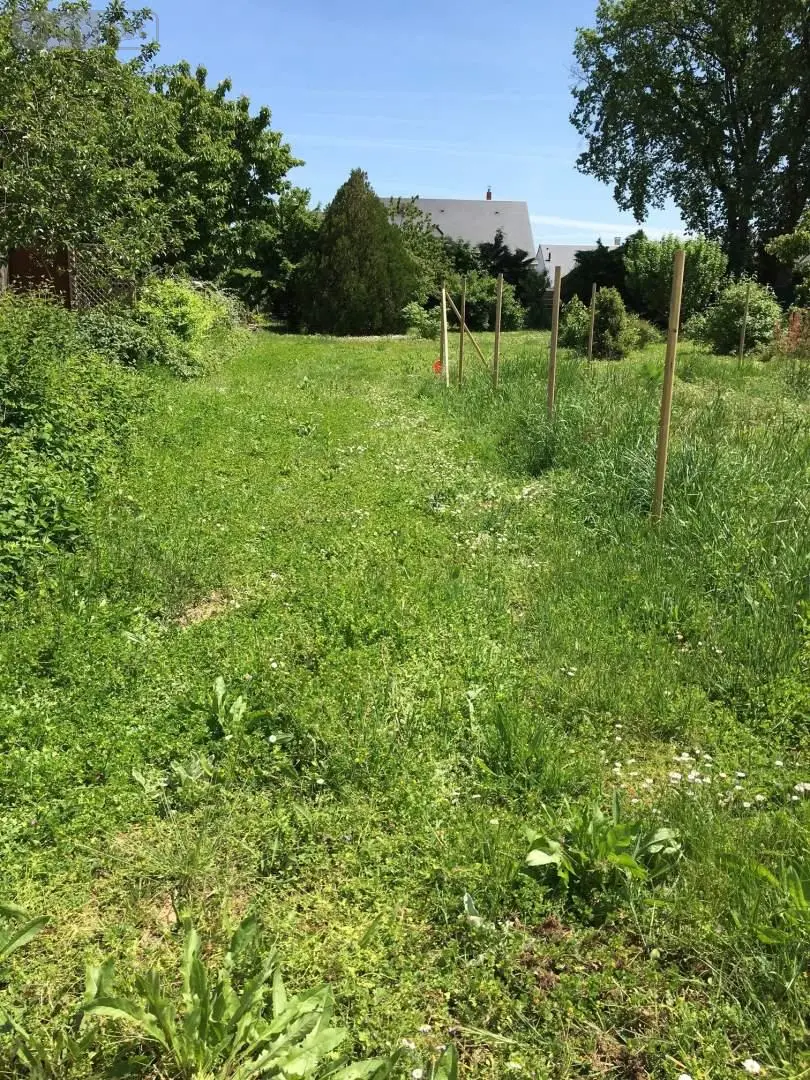 Terrain a batir a vendre Esvres 37320 Indre-et-Loire 37 9000000 m2 106000 euros 034/2203781 001
