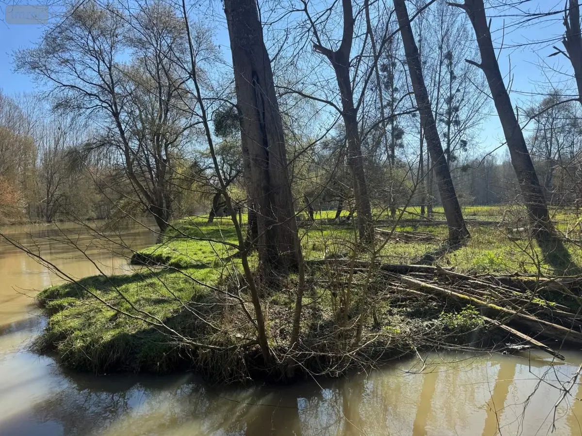 Terrains de loisirs bois etangs a vendre Cormery 37320 Indre-et-Loire 37 14600 euros 034/1391 001