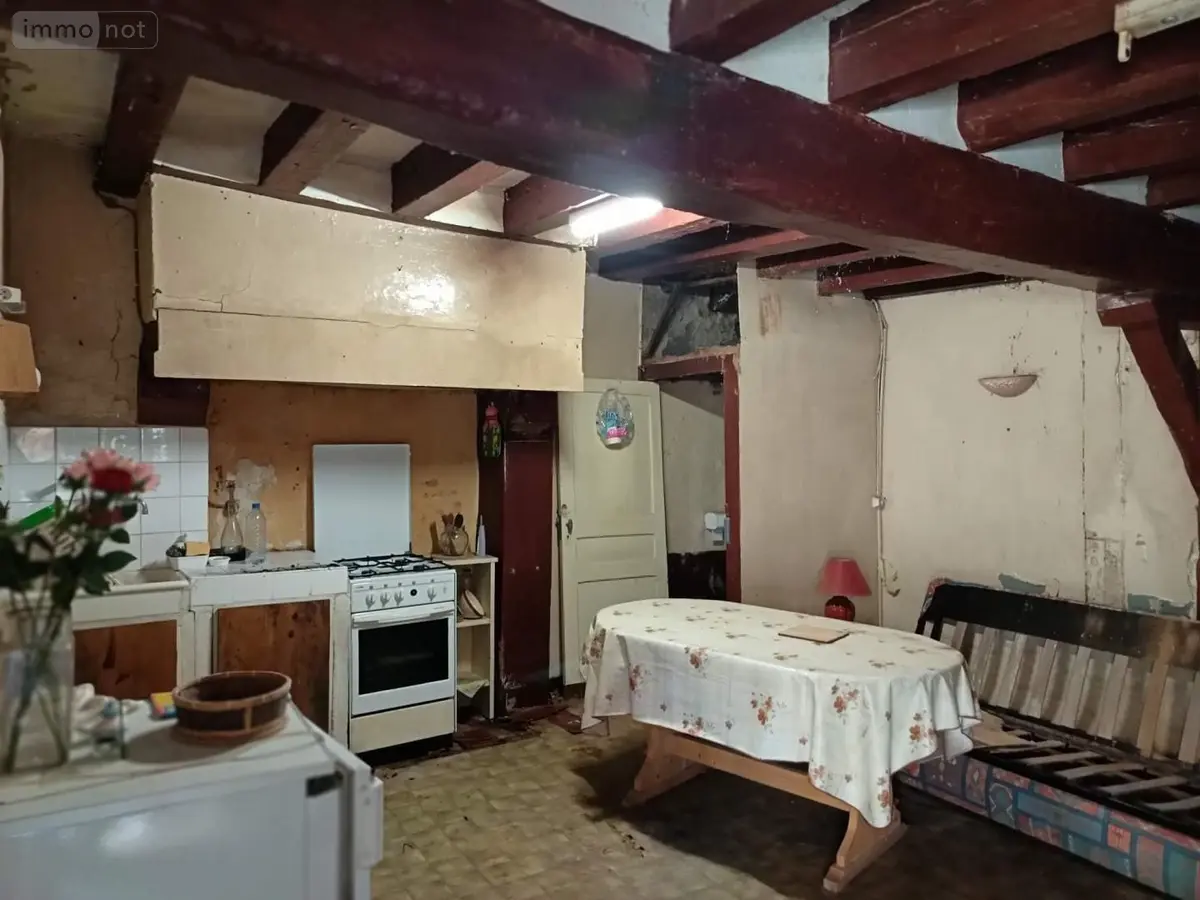 Maison a vendre Chaumont-sur-Loire 41150 Loir-et-Cher 41 42 m2 2 pièces 54500 euros 015/699 001
