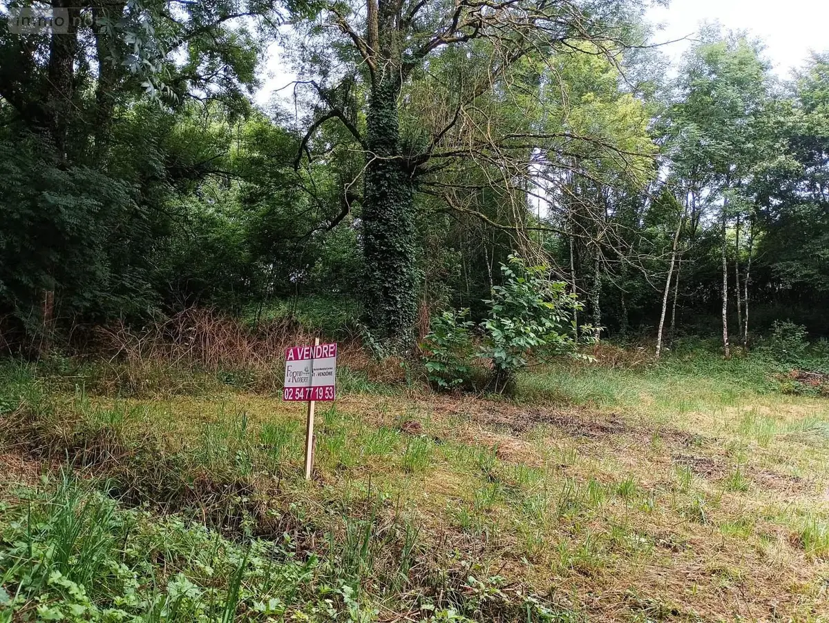 Terrain a batir a vendre Azé 41100 Loir-et-Cher 41 2020 m2 27000 euros 072/1719 001
