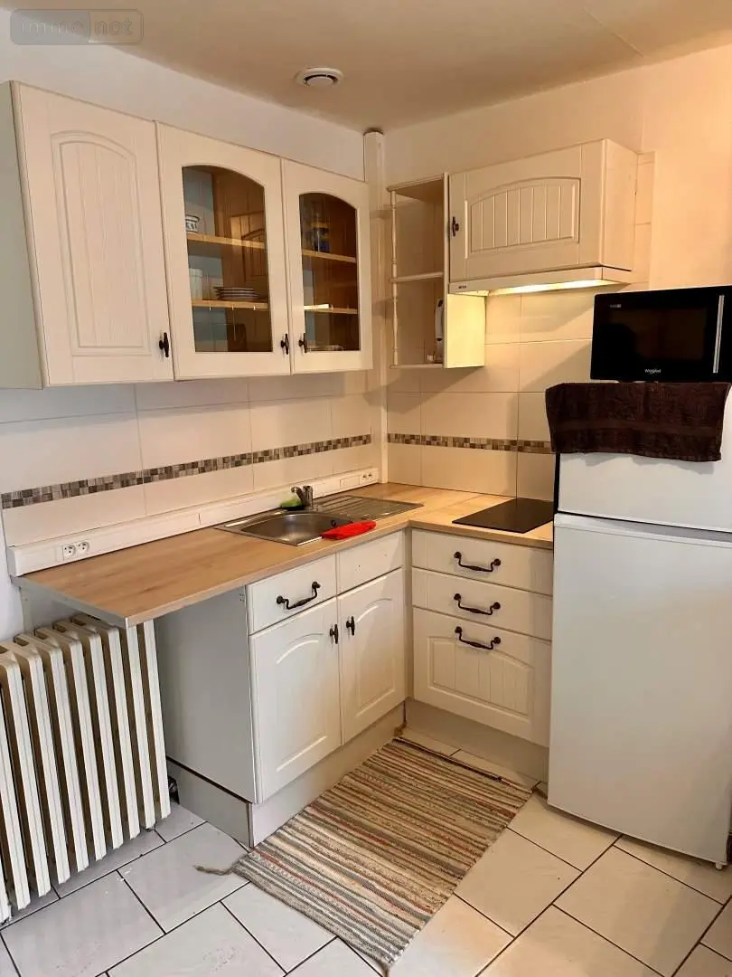 Location appartement Blois 41000 Loir-et-Cher 41 20 m2 1 pièce 450 euros 072/1773 001