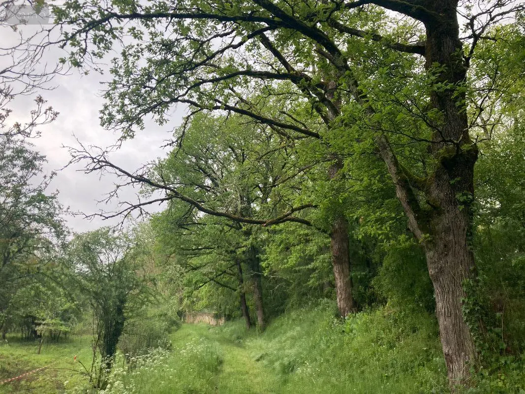 Terrain a batir a vendre Cahors 46000 Lot 46 1227 m2 53000 euros 009/1685 001