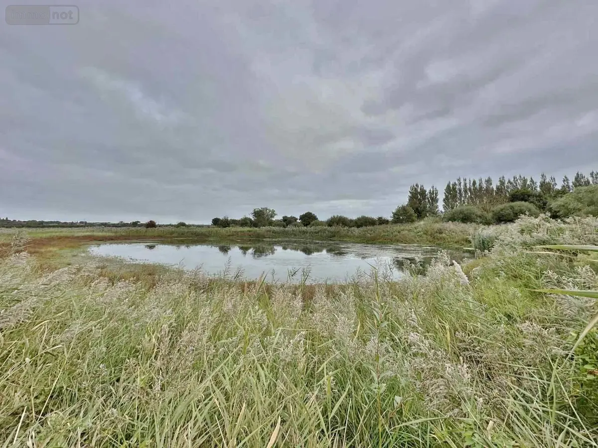 Bien agricole a vendre Bretteville-sur-Ay 50430 Manche 50 58240 euros 045/1698 001