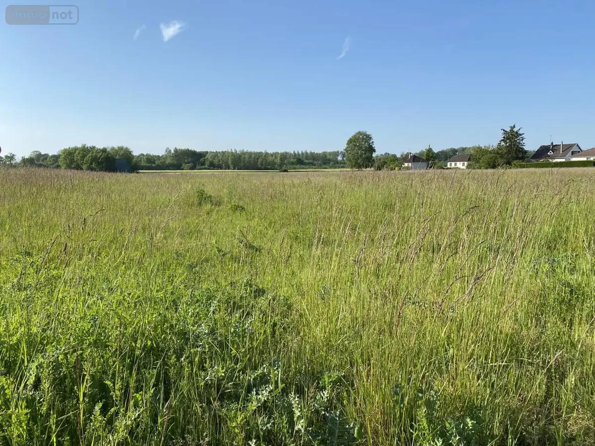 Terrain a batir a vendre Saint-Just-Sauvage 51260 Marne 51 19200 m2 500305 euros 034/1290 001