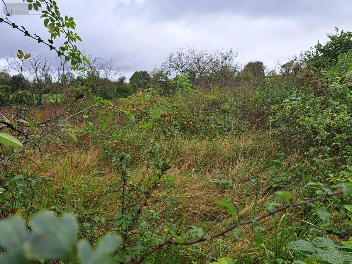 Terrains de loisirs bois etangs a vendre Villenauxe-la-Grande 10370 Aube 10 2456 euros 034/1347 001