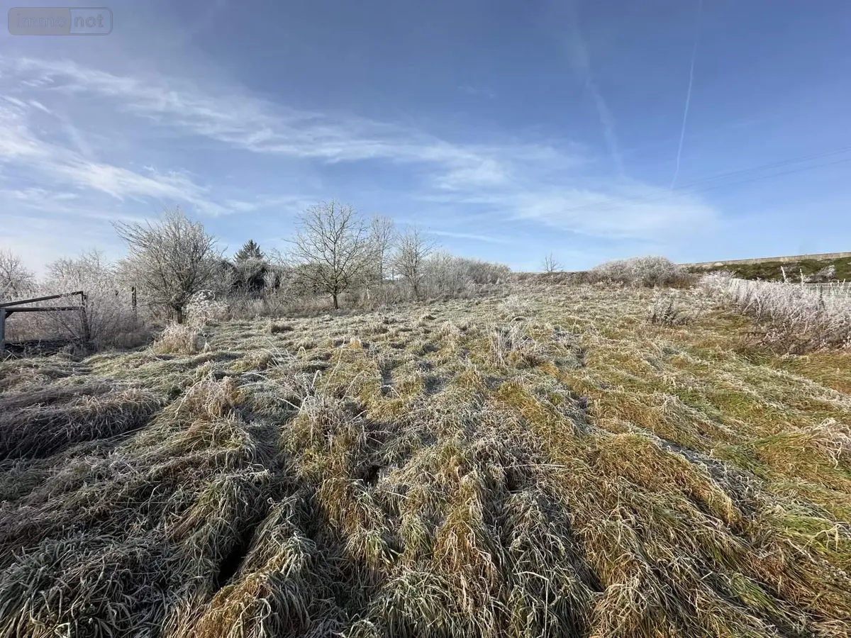 Terrains de loisirs bois etangs a vendre Sézanne 51120 Marne 51 7000 euros 043/1681 001