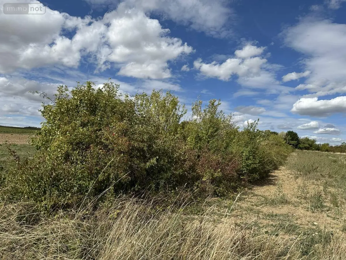 Terrains de loisirs bois etangs a vendre Sézanne 51120 Marne 51 2000 euros 043/1795 001