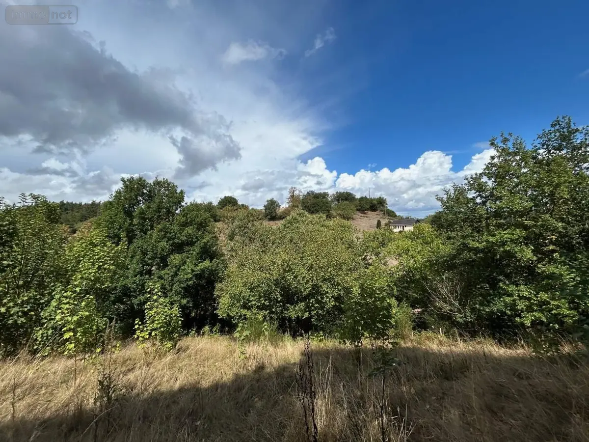 Terrains de loisirs bois etangs a vendre Château-Gontier-sur-Mayenne 53200 Mayenne 53 8900 euros 028/2218 001