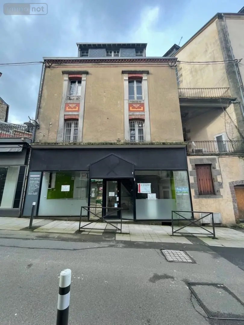 Immeuble de rapport a vendre Mayenne 53100 Mayenne 53 80 m2 9 pièces 68575 euros 046/844 001