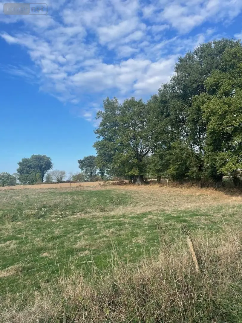 Terrain a batir a vendre Saint-Baudelle 53100 Mayenne 53 300 m2 31000 euros 046/895 001