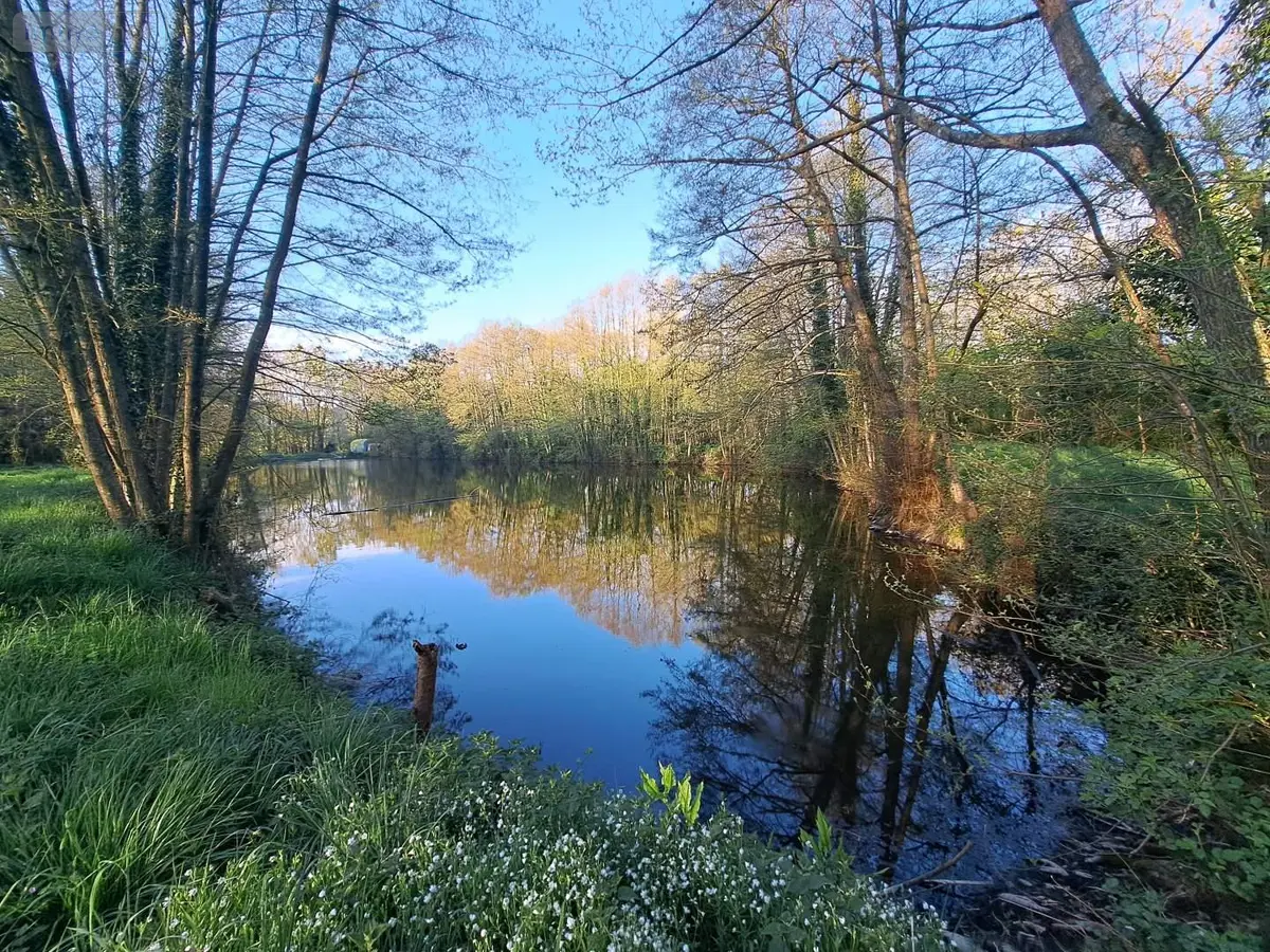 Terrains de loisirs bois etangs a vendre Craon 53400 Mayenne 53 115160 euros 076/2707-MOR 001