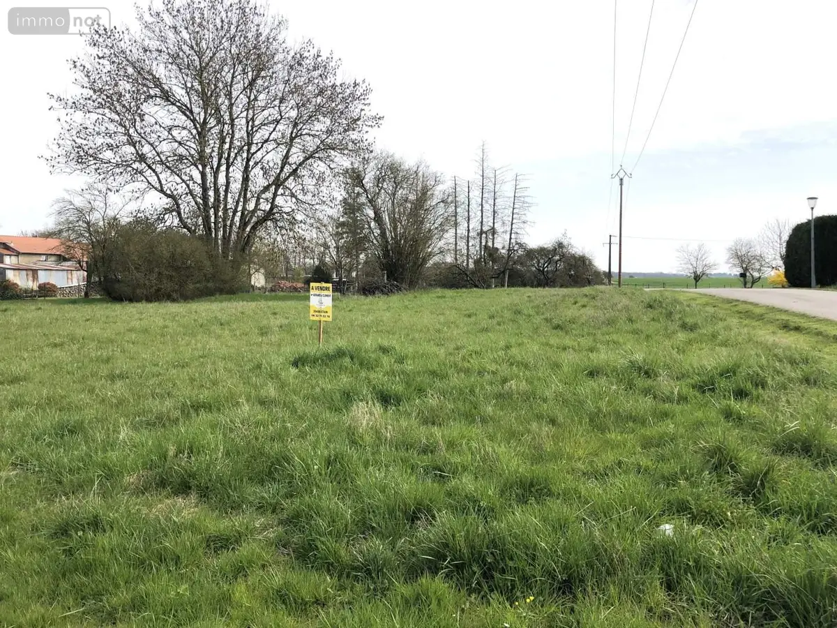 Terrain a batir a vendre Braquis 55400 Meuse 55 800 m2 38500 euros 058/474/1266 001