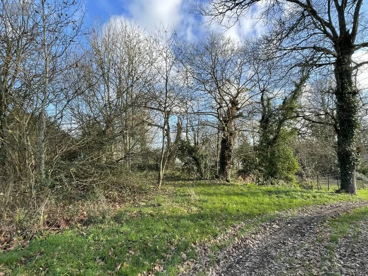 Terrain a batir a vendre La Gacilly 56200 Morbihan 56 818 m2 32400 euros 53b 001