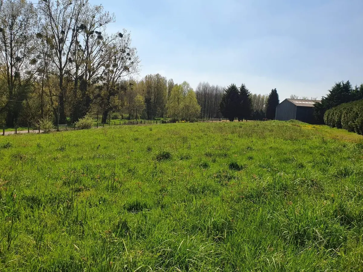 Terrain a batir a vendre Mauron 56430 Morbihan 56 1000 m2 33200 euros 97TAB 001