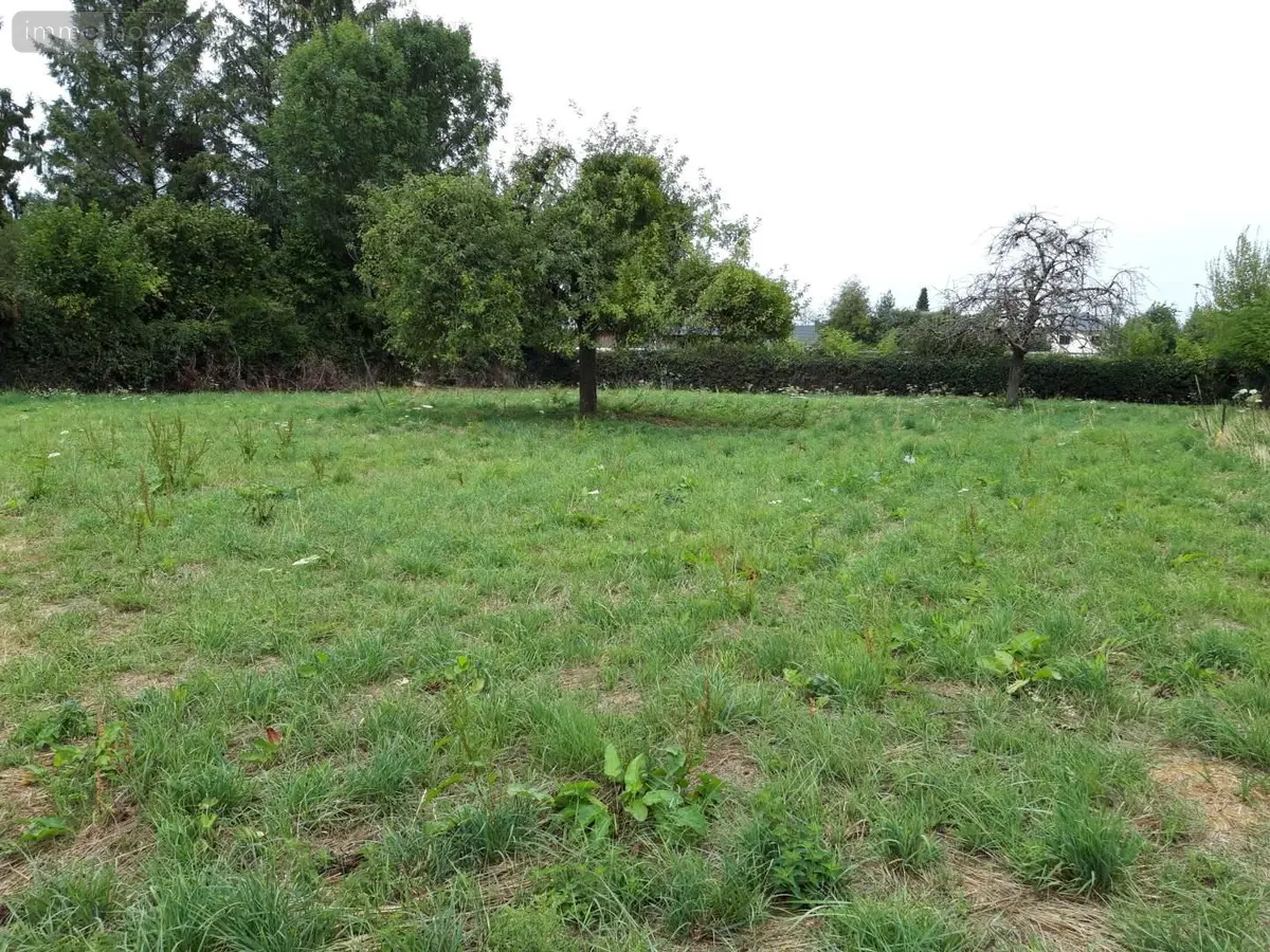 Terrain a batir a vendre Saint-Georges-sur-Fontaine 76690 Seine-Maritime 76 900 m2 88700 euros YB/2001 001