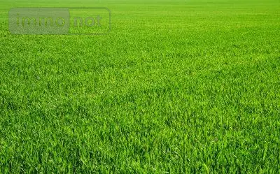 Terrain a batir a vendre Critot 76680 Seine-Maritime 76 1000 m2 48000 euros 016/701AM 001