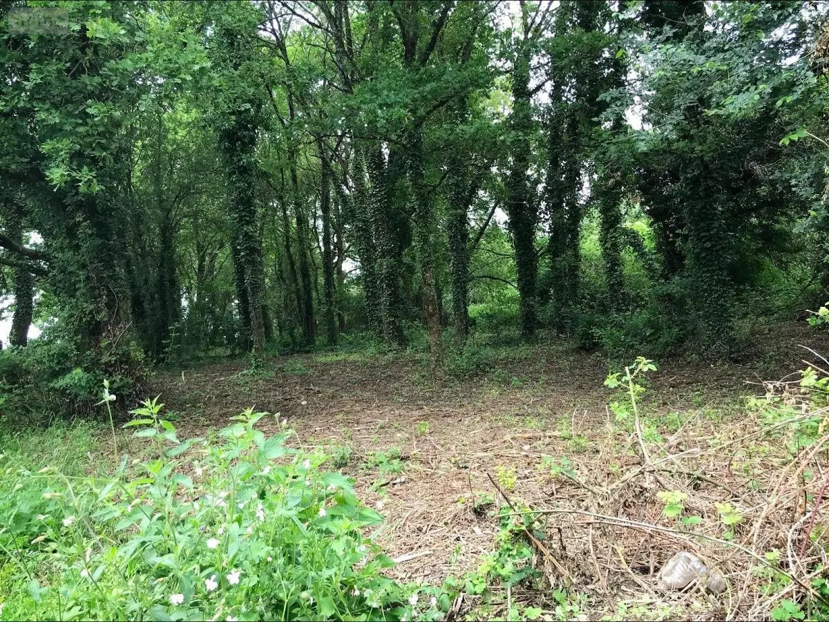 Terrain a batir a vendre Aubinges 18220 Cher 18 31500 euros 18006-199 001