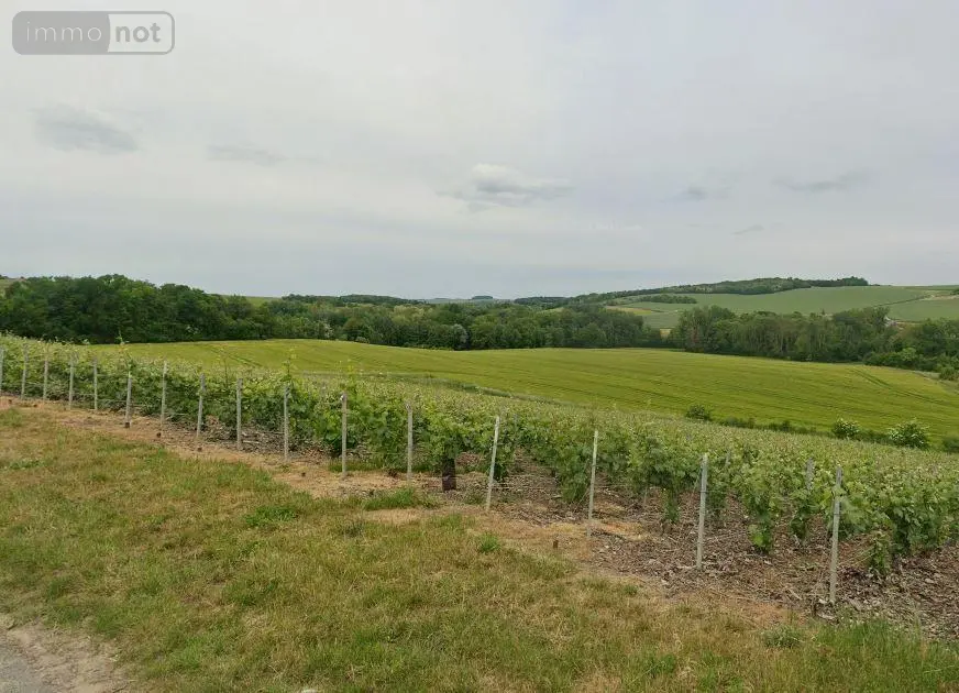 Terrains de loisirs bois etangs a vendre Passy-Grigny 51700 Marne 51 979347 euros 51022-2299 001