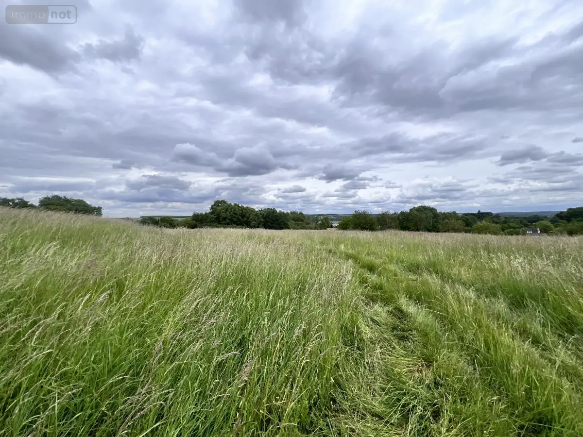 Terrain a batir a vendre Pouillé 41110 Loir-et-Cher 41 48000 euros 41033-1788 001