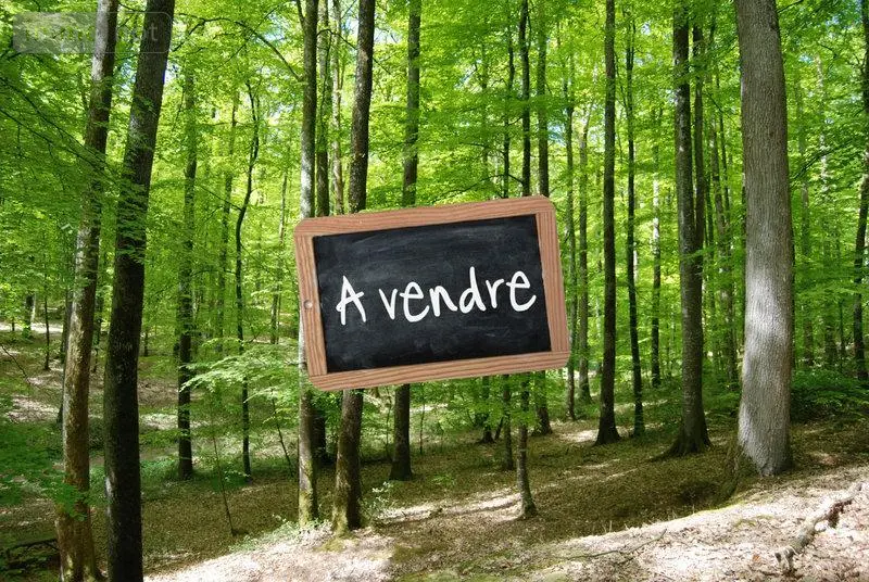 Terrains de loisirs bois etangs a vendre Maleville 12350 Aveyron 12 27716 euros 56033-279 001