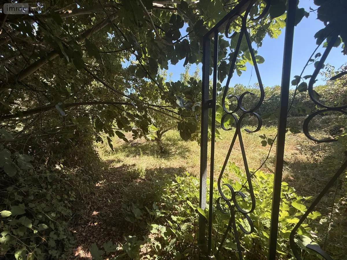 Terrain a batir a vendre Île-aux-Moines 56780 Morbihan 56 396800 euros 56089-137 001