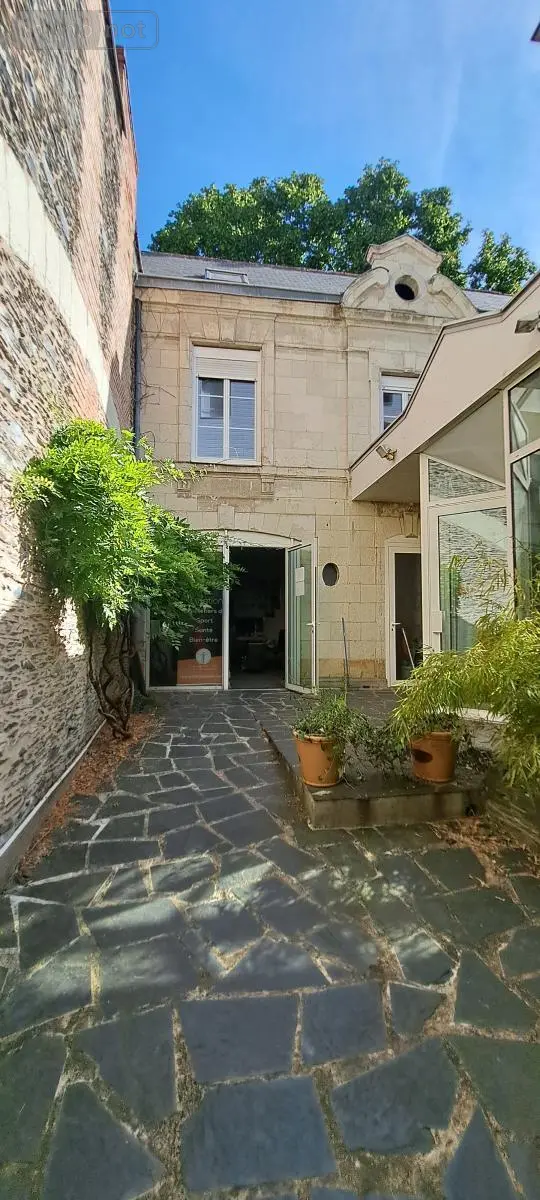 Immeuble de rapport a vendre Angers 49000 Maine-et-Loire 49 358 m2 1252000 euros 49004-1731 001