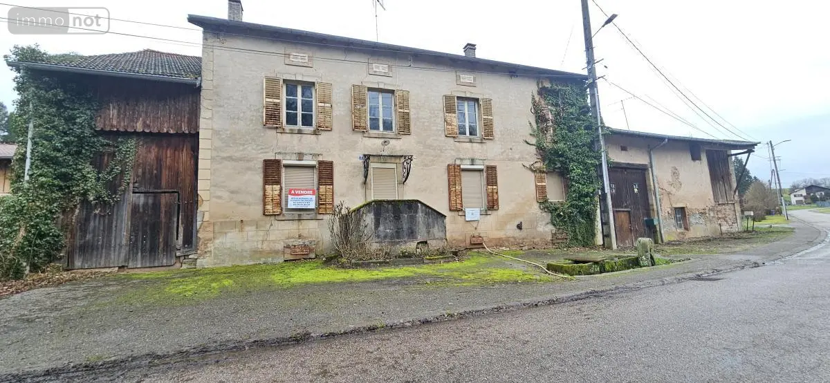 Maison a vendre Ménil-sur-Belvitte 88700 Vosges 88 114 m2 99000 euros 88061-822 001
