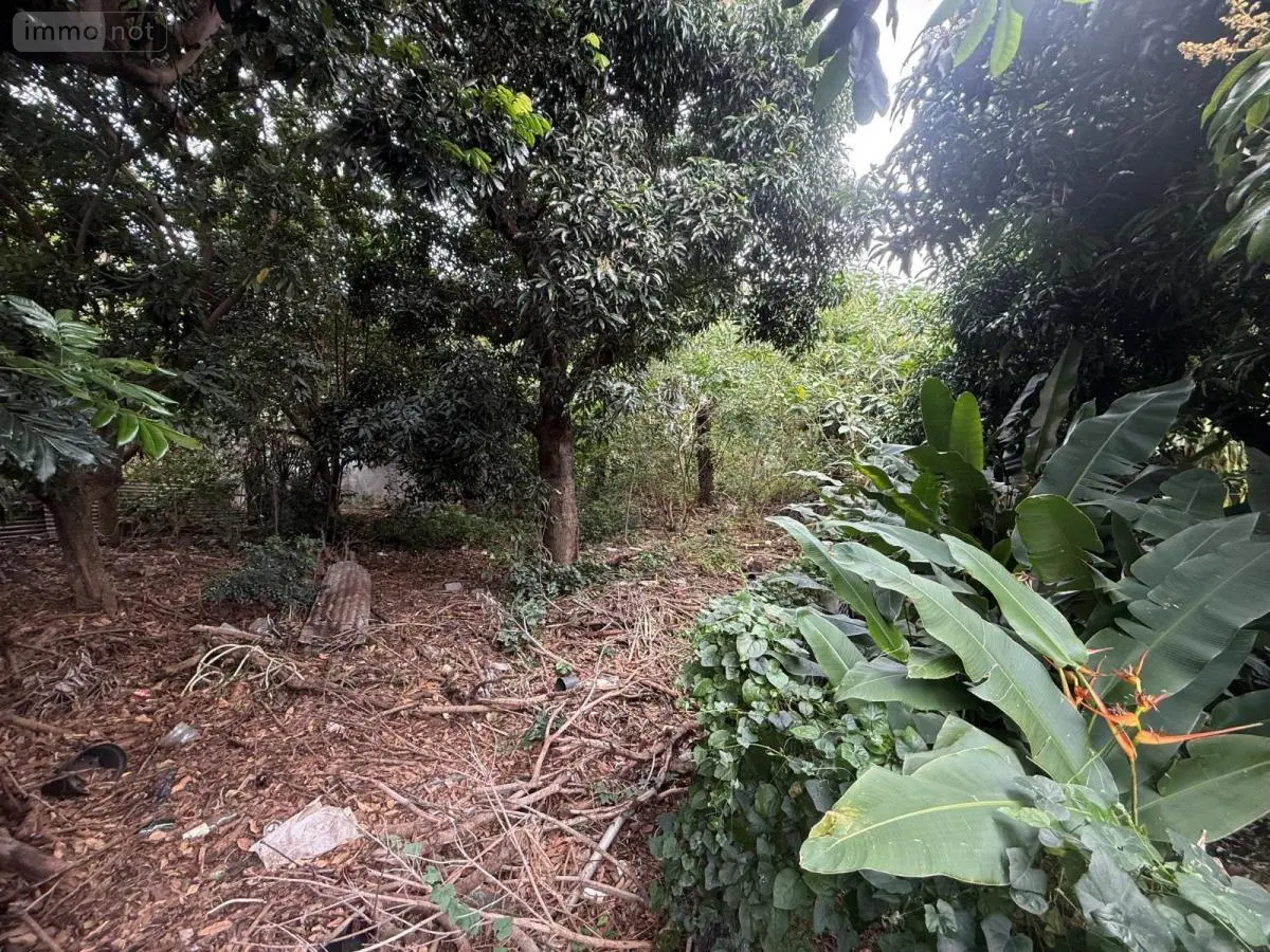 Terrain a batir a vendre Saint-Pierre 97250 Martinique 972 354464 euros 97410-724 001