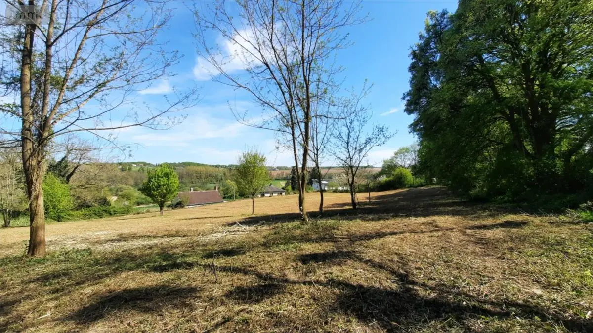 Terrain a batir a vendre Vicq-sur-Nahon 36600 Indre 36 17000 euros 021/1193 001