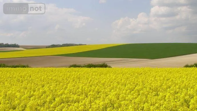 Bien agricole a vendre Guilly 36150 Indre 36 92000 euros 021/1155 001