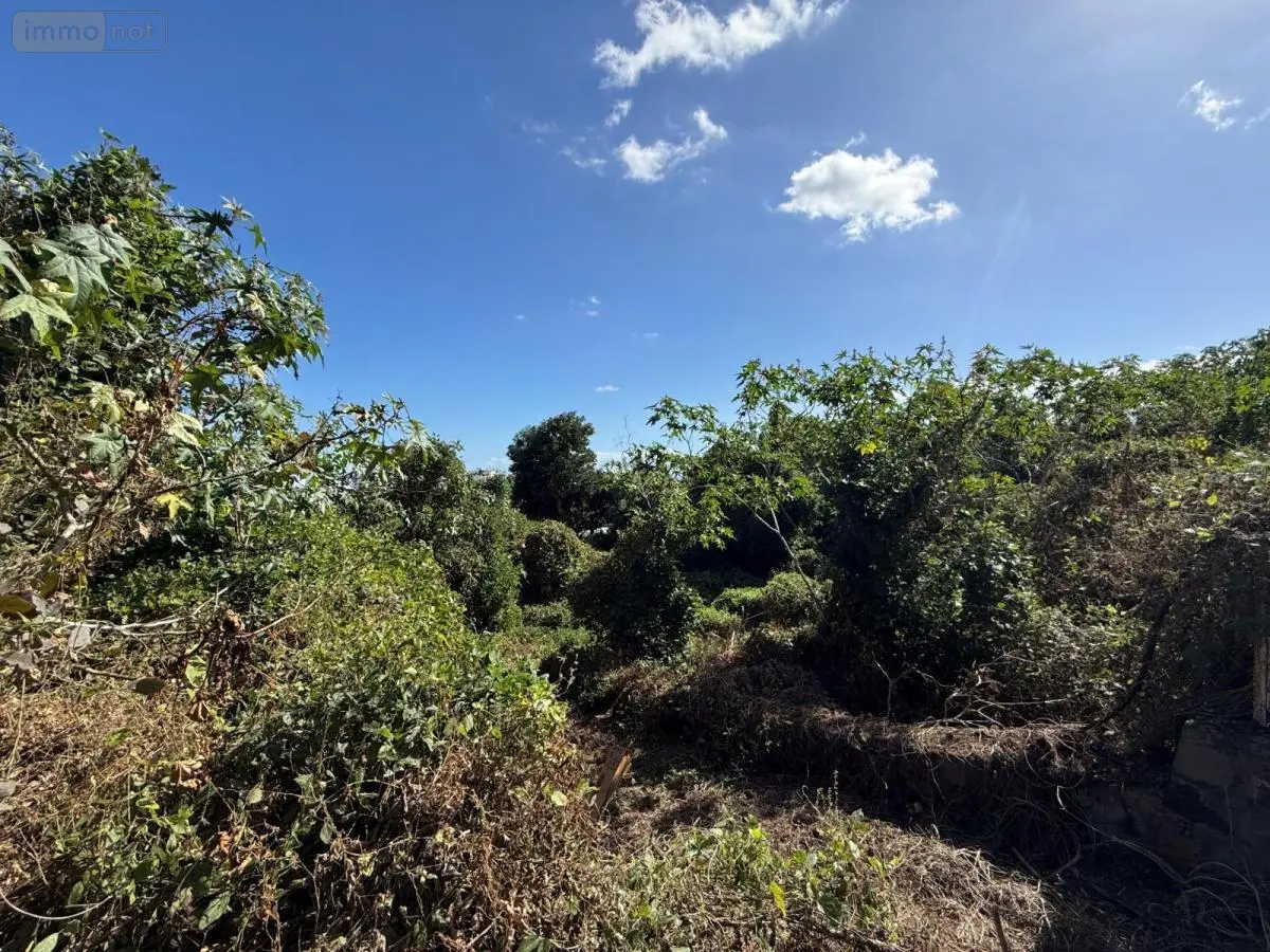 Terrain a batir a vendre Saint-Pierre 97250 Martinique 972 189900 euros 97410-739 001
