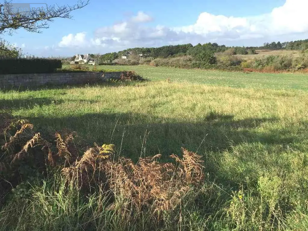 Divers a vendre Esquibien 29770 Finistère 29 1386 m2 54577 euros 29021-2065 001