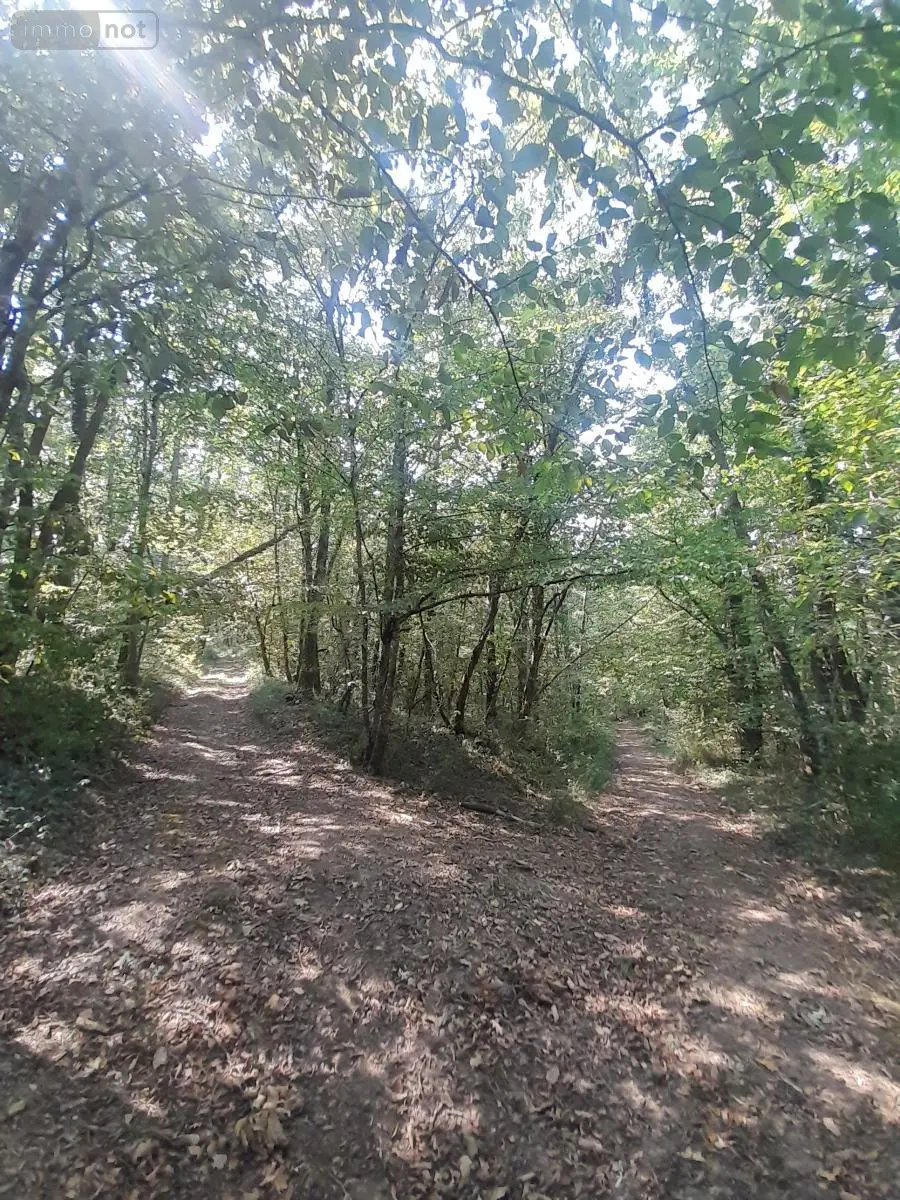 Terrains de loisirs bois etangs a vendre Marsan 32270 Gers 32 15000 euros 32002-1429 001