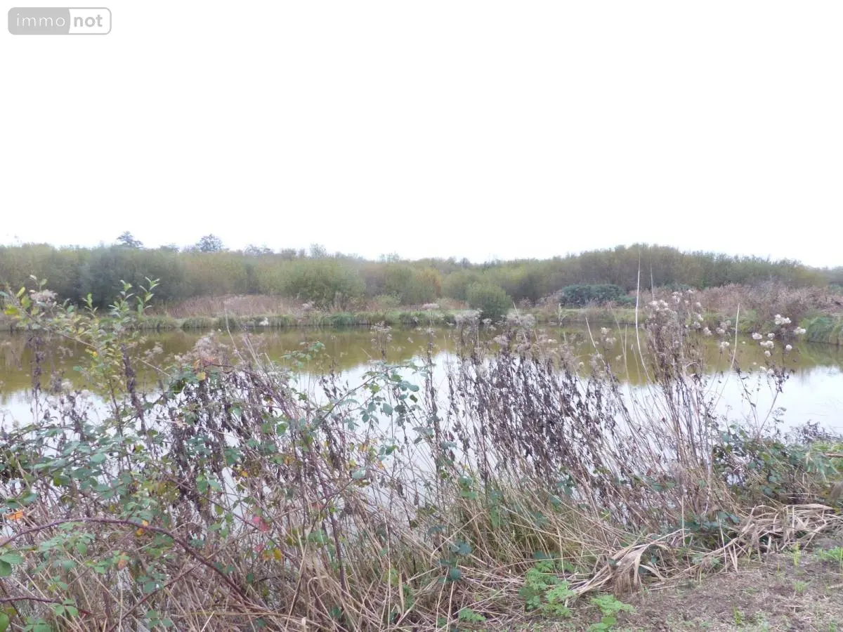 Divers a vendre Pirou 50770 Manche 50 12920 m2 74320 euros 50061-2935 001