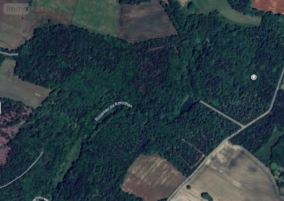 Terrains de loisirs bois etangs a vendre Berric 56230 Morbihan 56 53000 euros VT324-56008 001