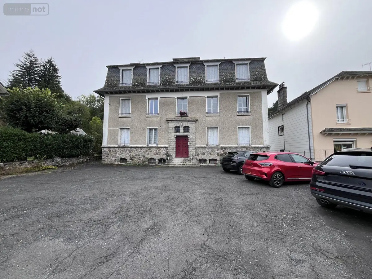 Appartement a vendre Condat 15190 Cantal 15 42 m2 2 pièces 29600 euros 90T-15029 001