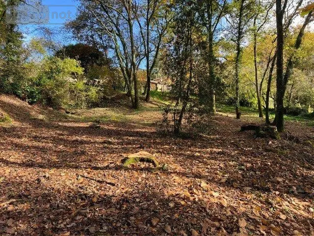 Terrain a batir a vendre Béruges 86190 Vienne 86 80000 euros VT109-86001 001