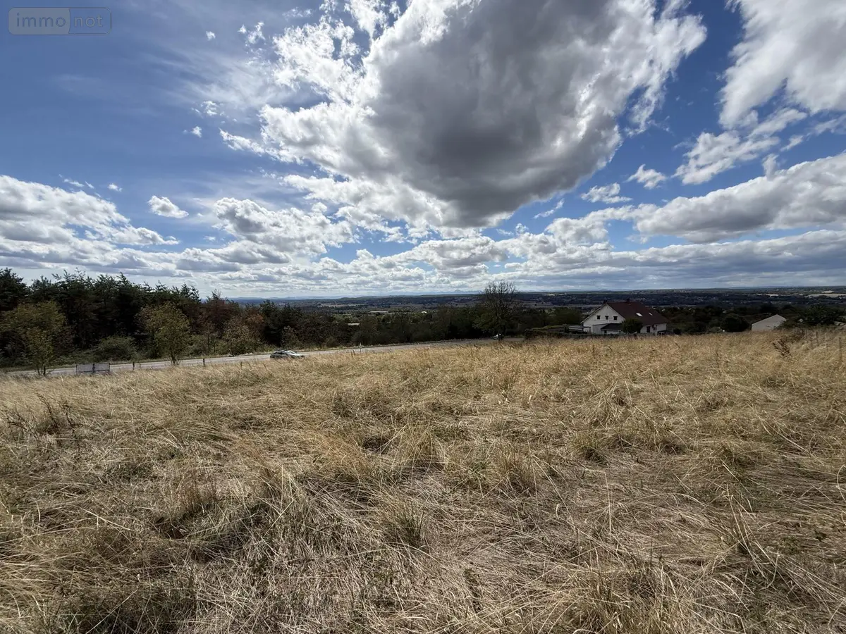 Terrain a batir a vendre Busset 03270 Allier 03 66000 euros 2026/1036-03020 001