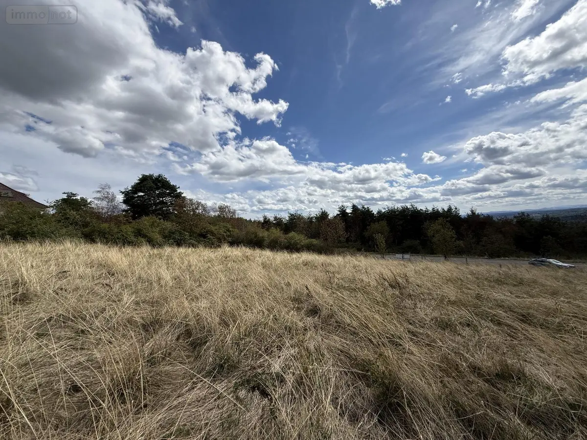 Terrain a batir a vendre Busset 03270 Allier 03 75800 euros 2026/1037-03020 001