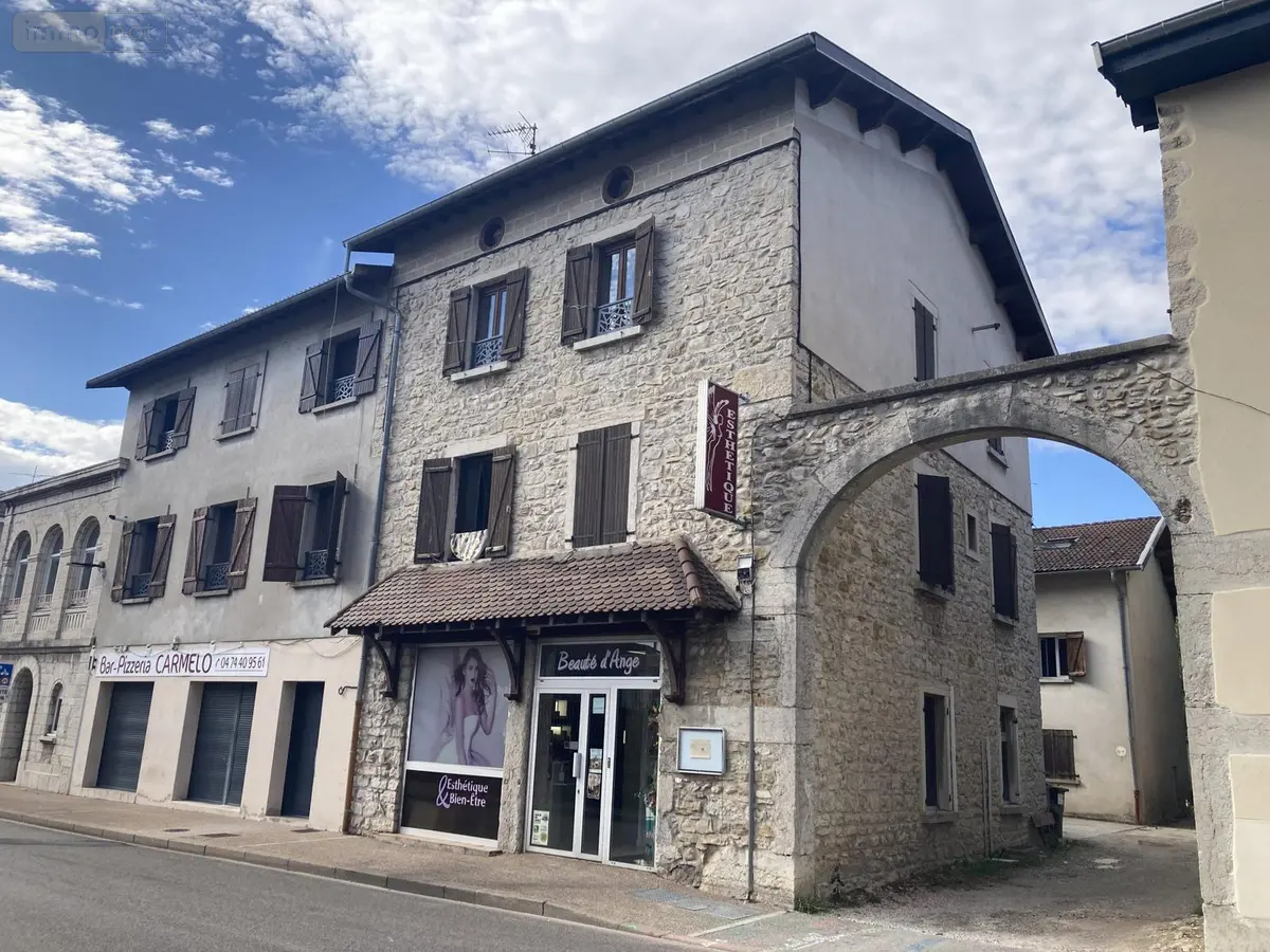 Immeuble de rapport a vendre Saint-Denis-en-Bugey 01500 Ain 01 490 m2 565000 euros VI091-01032 001