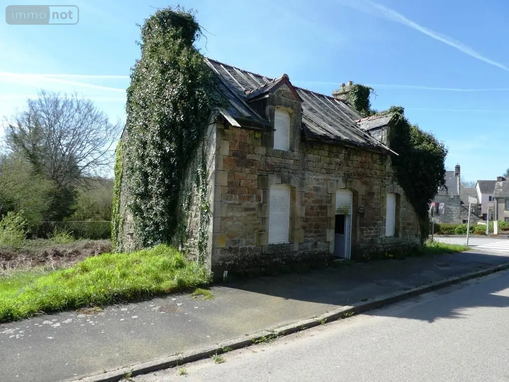Maison a vendre Langoëlan 56160 Morbihan 56 80 m2 2 pièces 14924 euros 56075-2254 001