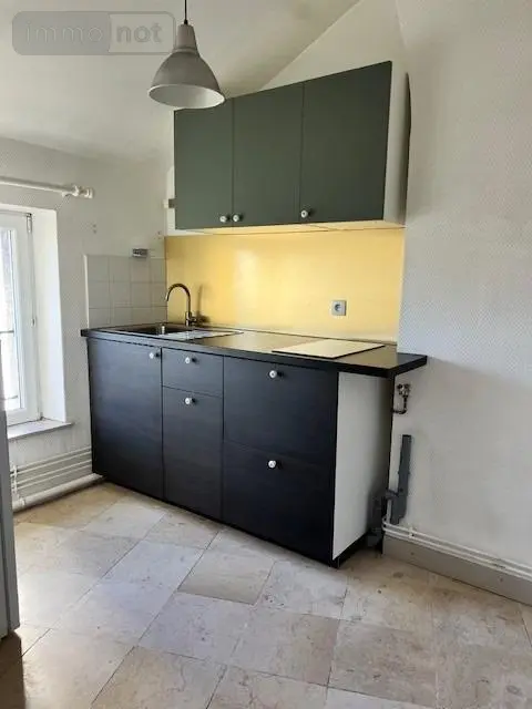 Location appartement Reims 51100 Marne 51 42 m2 2 pièces 580 euros LOCATAGGA3G 001